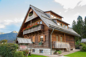 Отель Apartments Brina, Бохиньска Быстрица